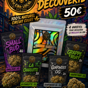 Pack Découverte #1