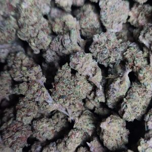 Fleur de CBD White Diesel (Small bud)