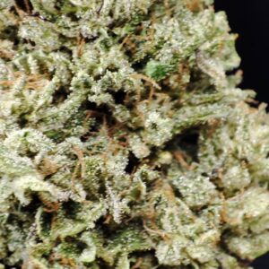 Fleur de CBD OZK #13