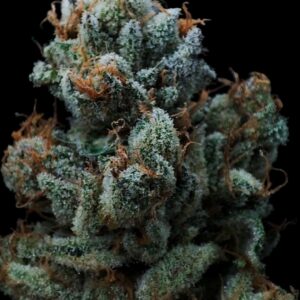 Fleur de CBD Pineapple Snowcone HYDRO