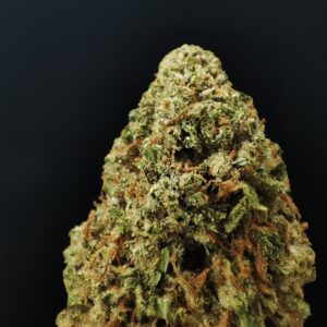 Fleur de CBD Rainbow Sherbet