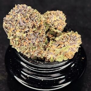 Fleur de CBD Rainbow Sherbet - 79