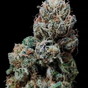 Fleur de CBD Payton's Strawberry Hydro